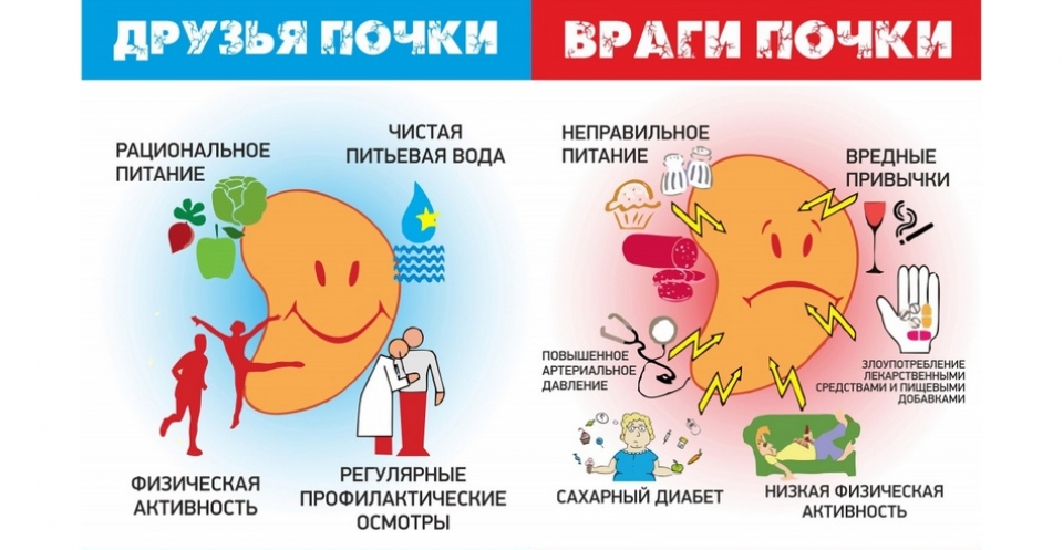 Стол при заболевании почек