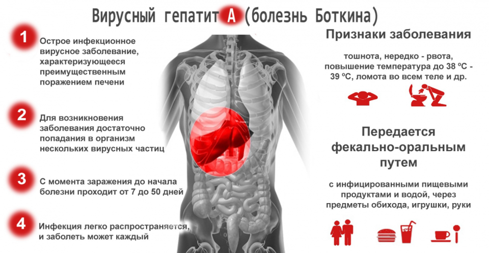 Семена цветов и трав.